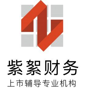 上海财务咨询公司