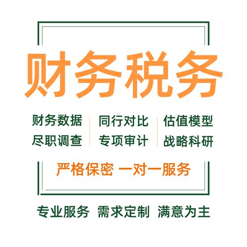 财务报表分析可行性研究报告审计税务咨询代写商业计划书年度述职