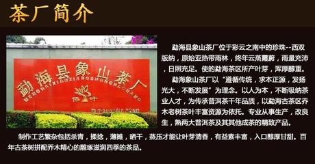 象山茶厂招商加盟信息