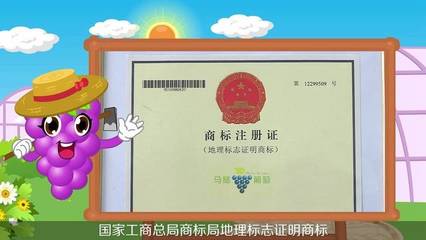 【微视频】不是所有的葡萄都叫马陆葡萄!马陆葡萄的前世今生在这里: