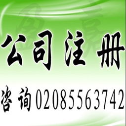 广州工商注册 代理记账,公司注册价格 广州工商注册 代理记账,公司注册型号规格