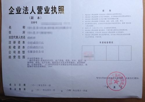 痛客网 工商注册时,该怎么填经营范围