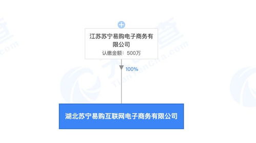 苏宁易购在武汉成立电商公司,注册资本500万元