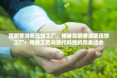 昆明普洱茶压饼工厂,揭秘昆明普洱茶压饼工厂:传统工艺与现代科技的完美结合